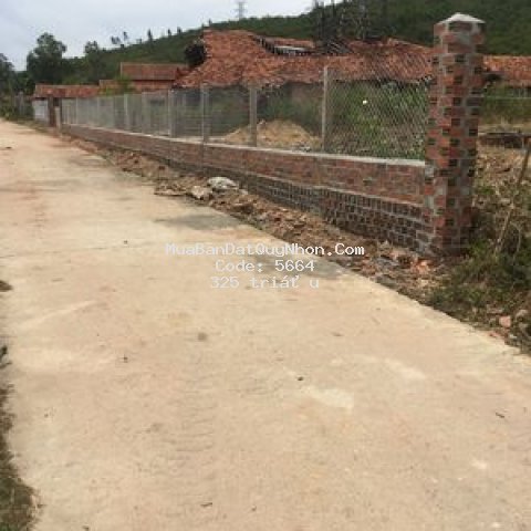 4 lô đất bình nghi tây sơn dt 261 đất ở giá 325