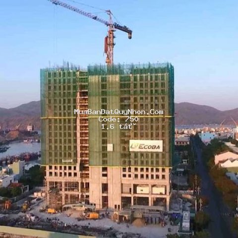 Altara quy nhơn căn hộ 5 sao bậc