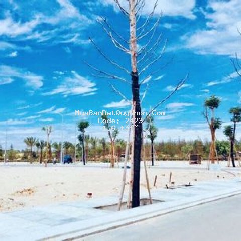 Bán 100m2 mt xuyên tâm, nhơn lý, tp qui nhơn