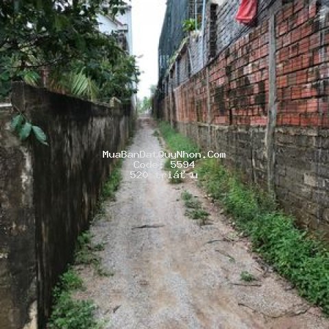 Bán 137 mét vuông đất số đỏ