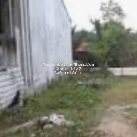 Bán 2070 m2 đất mặt tiền đường an dương vương