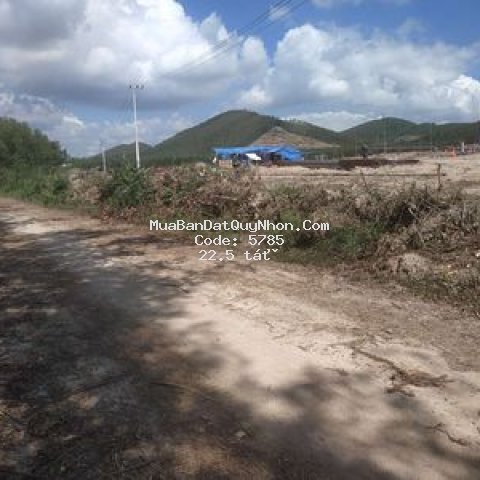 Bán 50ha đất rừng mỹ thạnh, bình tân, tây sơn.