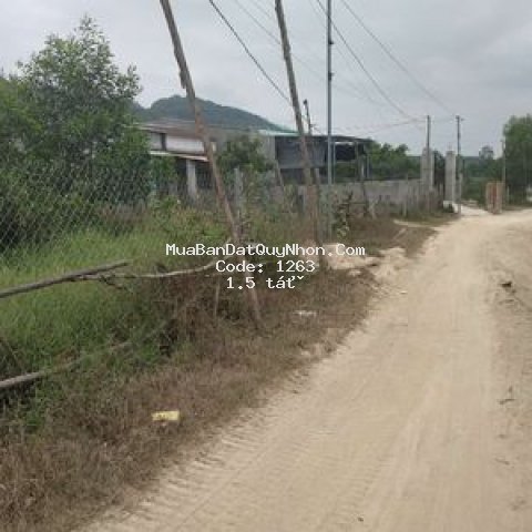 Bán 975m2, 100m2 thổ cư, đường xe tải, giá 1,5 tỷ