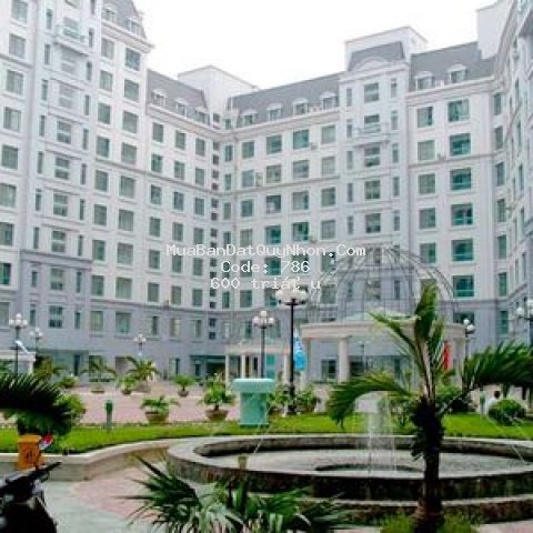Bán căn hộ đầy đủ nội thất trung tâm tp quy nhơn