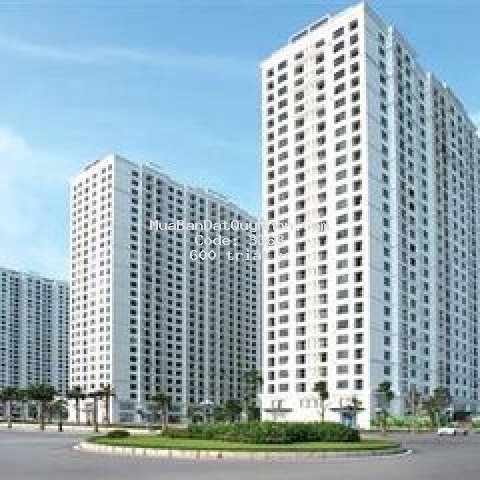Bán căn hộ đầy đủ nội thất trung tâm tp quy nhơn