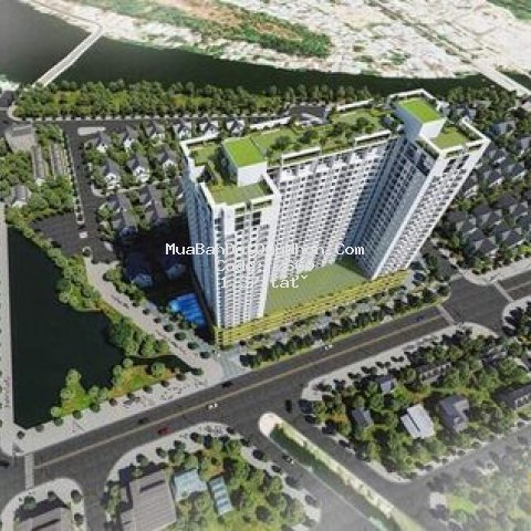 Bán căn hộ ecolife riverside đầu tiên ở quy nhơn Bán căn hộ ecolife riverside đầu tiên ở quy nhơn