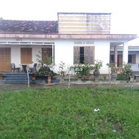 Bán đất 1110m2 có nhà 170m2 tại tuy phước