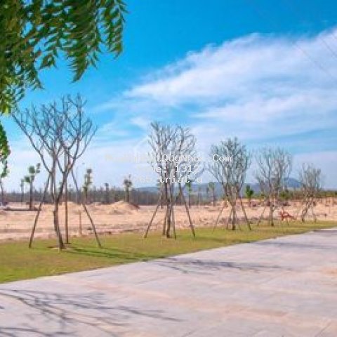 Bán đất