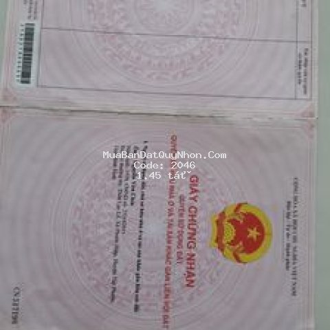 Bán đất 6x17 khu tấn thành