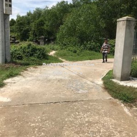 Bán đất bình an 2 phước thành 300m²