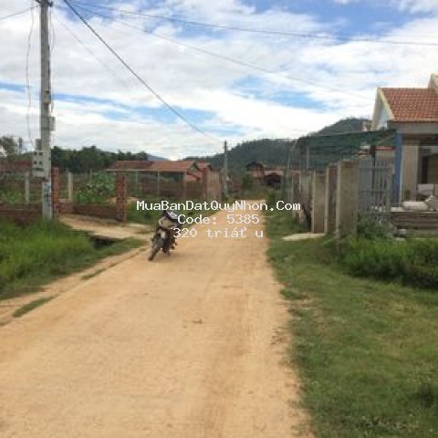 Bán đất bình nghi tây sơn