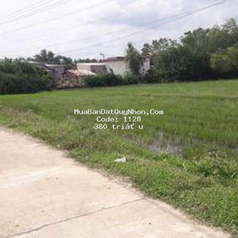 Bán đất kdc luật bình- phước quang ( 91.2m2)