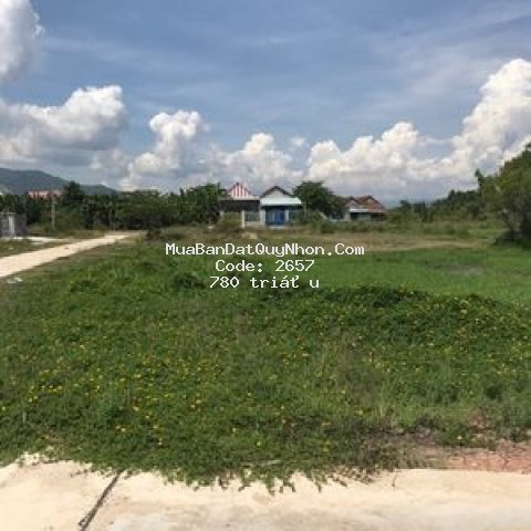 Bán đất khu tái định cư nhơn tân