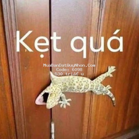 Bán đất mặt đường bê tông xã nhơn tân .an nhơn