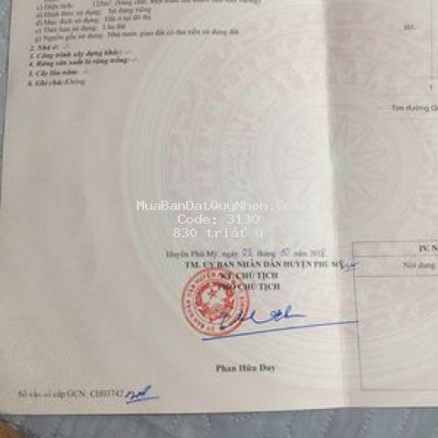 Bán đất ở chính chủ tại tt bình dương phù mỹ