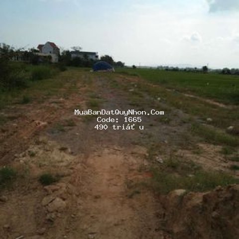 Bán đất phước hưng, tuy phước, bình định