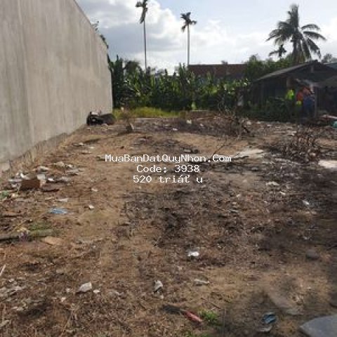 Bán đất phước thành tuy phước