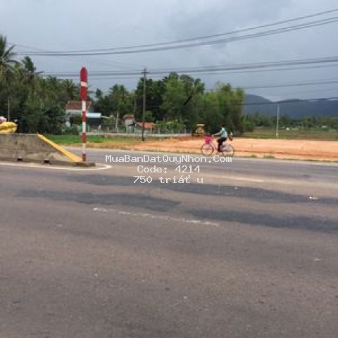 Bán đất quốc lộ 1a xã mỹ hiệp,huyện phù mỹ