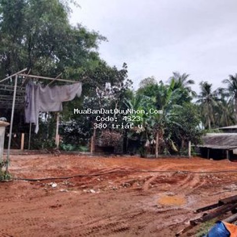 Bán đất sổ đỏ 7x18m