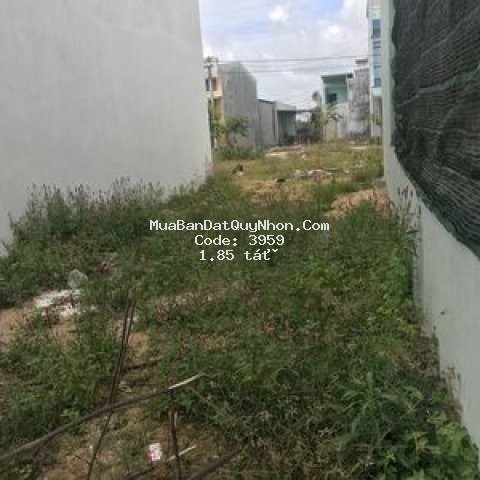 Bán đất sổ đỏ chính chủ