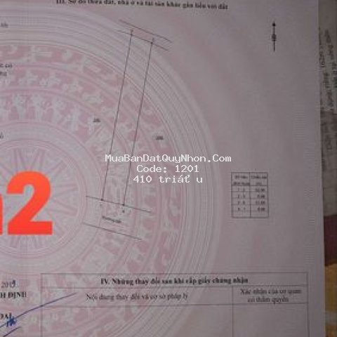 Bán đất tặng nhà cấp 4.bình nghi tây sơn