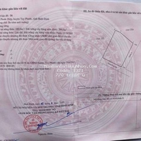 Bán đất tuy phước thôn đại lễ phước hiệp dt 300m²