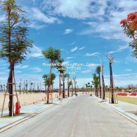 Bán gấp 80m2 đất biển qui nhơn, 19b, đống đa, shr