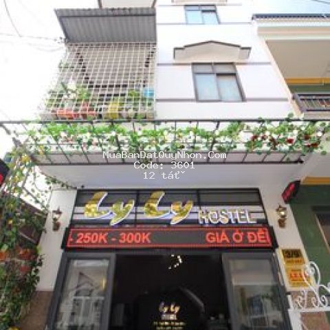 Bán gấp hostel tt thành phố quy nhơn-đường ngô mây