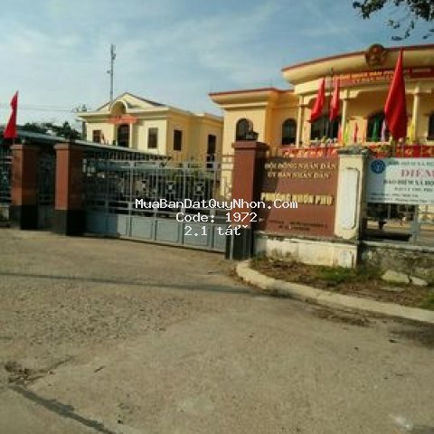 Bán gấp lô đata cạnh phường nhơn phú