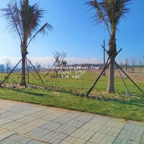 Bán gấp nền 80m2, nhơn hội, kỳ co gateway