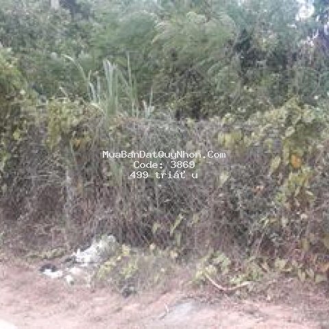 Bán lô đất 1213m2