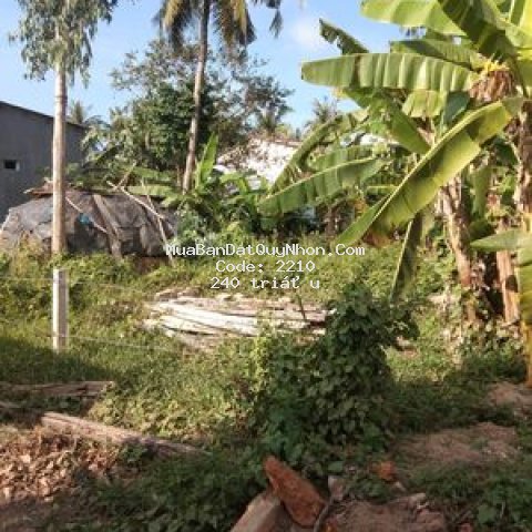 Bán lô đất 200m2 xuân vinh hoài mỹ
