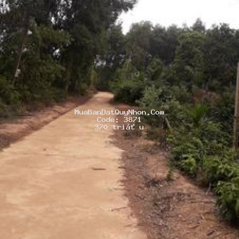 Bán lô đất 316m2 phường hoài thanh