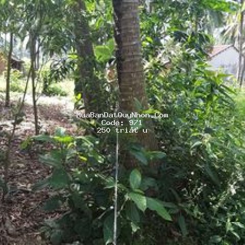 Bán lô đất 399m2 hoài phú