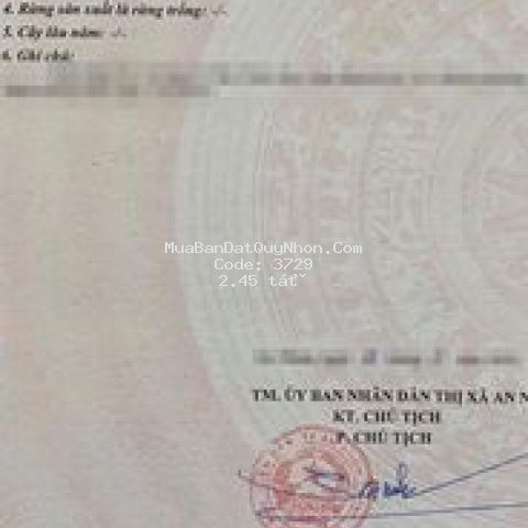 Bán lô đất đối diện coopmart an nhơn