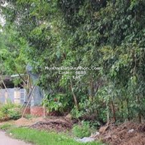 Bán lô đất mặt tiền đường chính