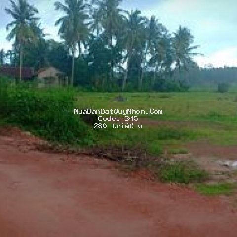 Bán lô đất màu hoài thanh tây