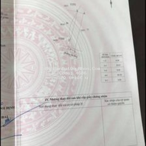 Bán lô đất sát đường quang trung thị trấn phù mỹ