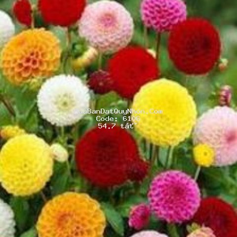 Bán nhà 3 tầng mặt tiền gần biển ngang 40m dài 39m