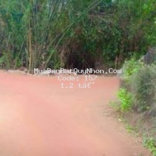 Bán nhà 443m2 hoài hương