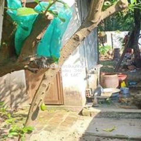 Bán nhà đào duy từ tam quan