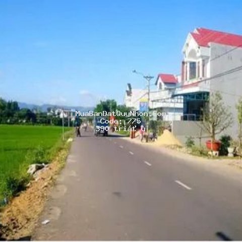 Bán nhanh đất sổ đỏ ven tp quy nhơn chỉ 390tr/100m
