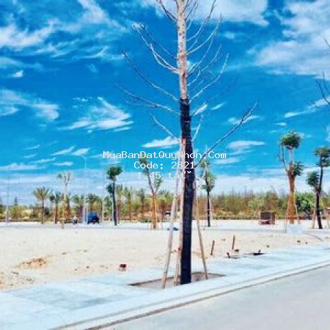 Bán nhanh lô đất nhơn lý a, shr, 85m2, giáp biển