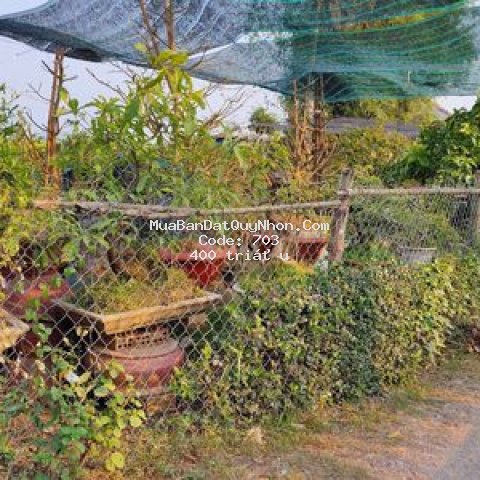 Bán thửa số 88 đất vườn chính chủ sổ đỏ đầy đủ Bán thửa số 88 đất vườn chính chủ sổ đỏ đầy đủ