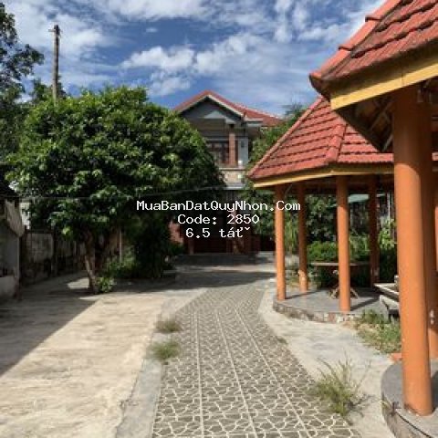 Biệt thự thành phố quy nhơn