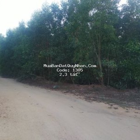 Cần bán 2ha/20000m2 đất đường xe công trong cụm kc
