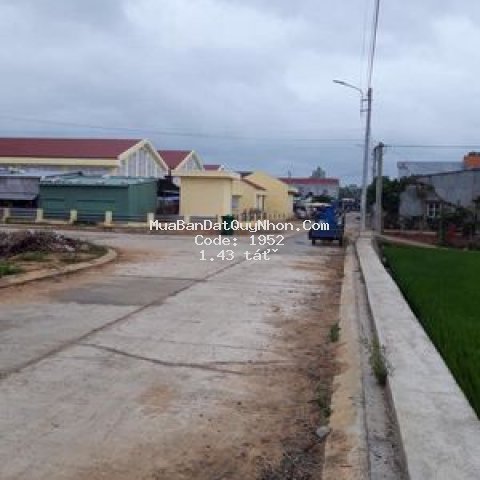 Cần bán đất chợ gò bồi phước hoà tuy phước