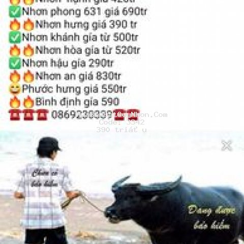 Cần bán đất nhơn hưng thị xã an nhơn