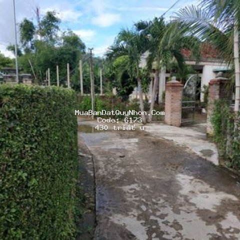 Cần bán đất phước an huyện tuy phước