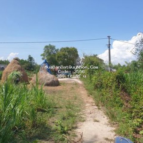 Cần bán gấp 5700m2 đất ở xã bình thành ,tây sơn